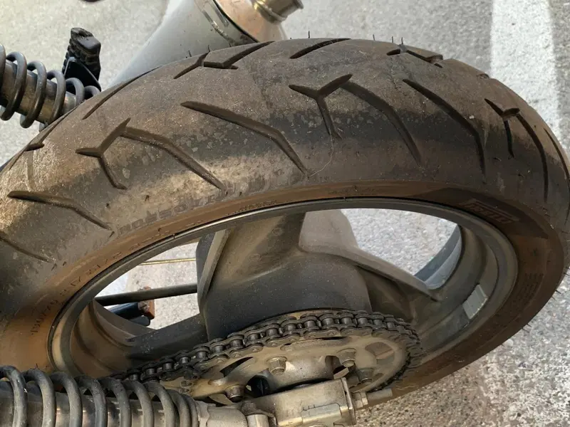 Kawasaki ER-5 500 (2001 - 06) (16)