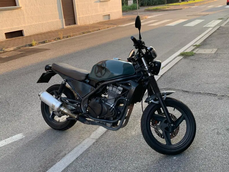 Kawasaki ER-5 500 (2001 - 06) (15)