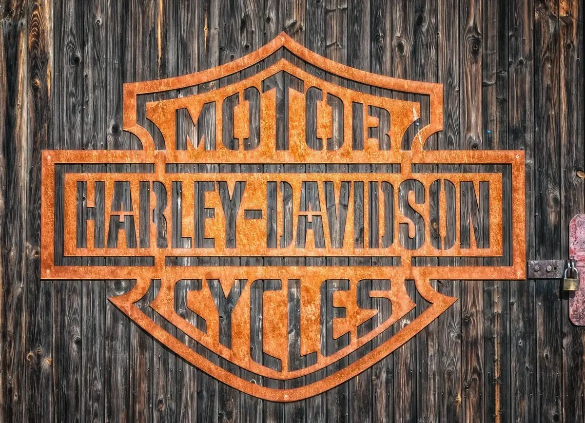Harley-Davidson 1200 XR (2009 - 12) (5)