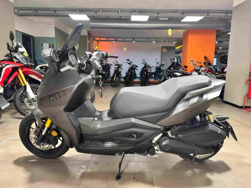 Wottan Motor Storm-R 300 (2023 - 25) (4)