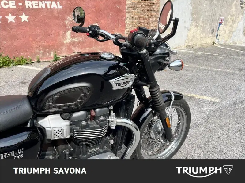 Triumph Bonneville T100 (2017 - 20) (16)