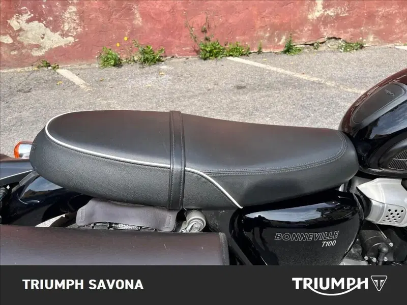 Triumph Bonneville T100 (2017 - 20) (15)