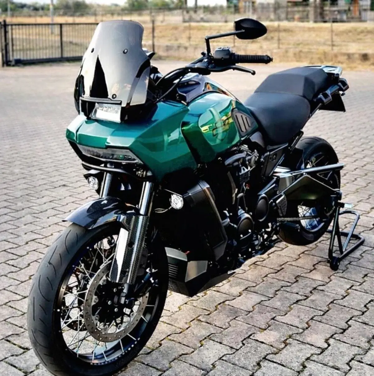 Harley-Davidson Pan America 1250 (2020 - 25) (6)