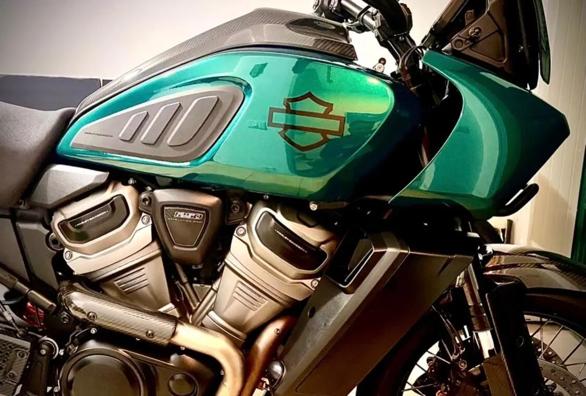 Harley-Davidson Pan America 1250 (2020 - 25) (9)
