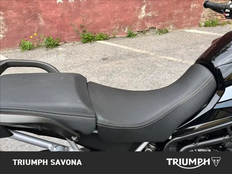 Triumph Tiger 900 GT (2020 - 23) (19)