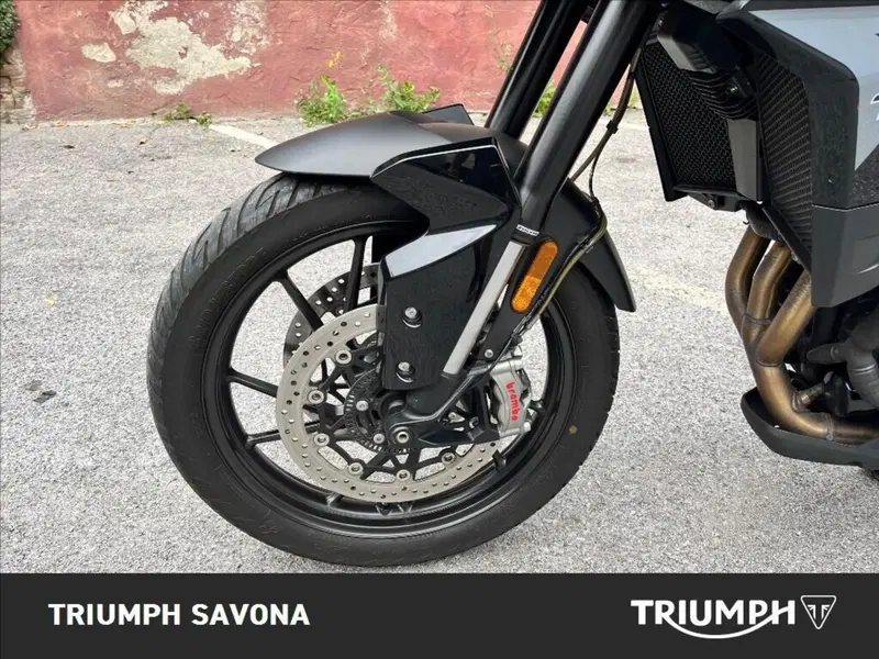 Triumph Tiger 900 GT (2020 - 23) (11)