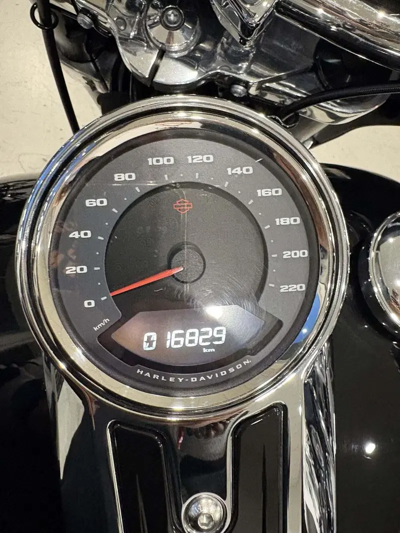 Harley-Davidson Sport Glide (2021 - 25) (4)