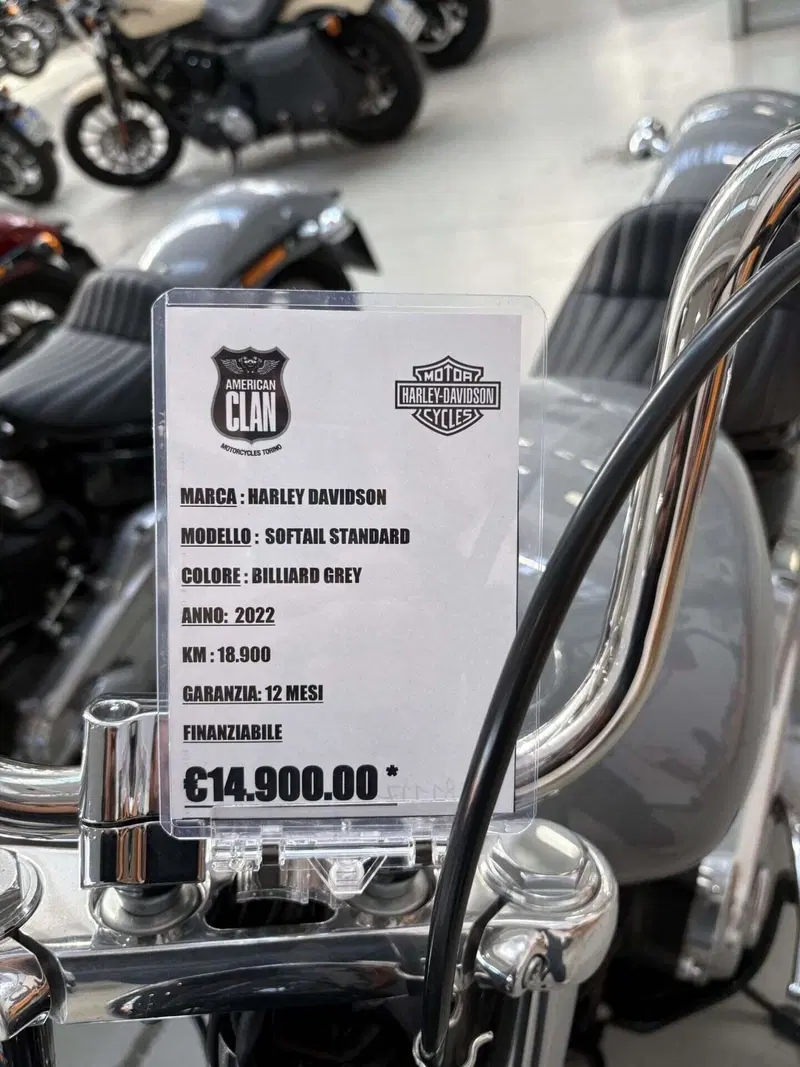 Harley-Davidson Softail Standard (2020) - FXST (2)