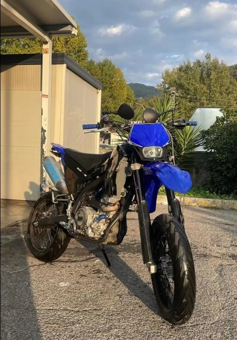 Yamaha WR 250 X (2008 - 13) (2)