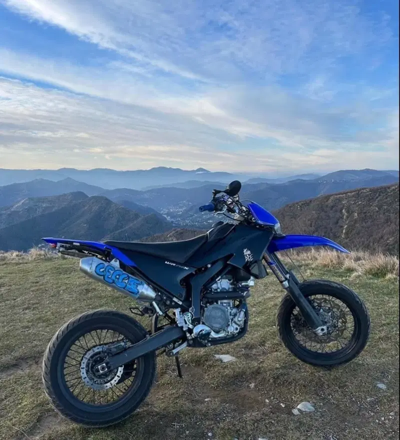 Yamaha WR 250 X (2008 - 13) (3)