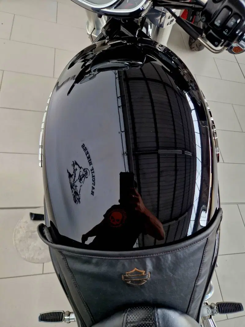 Harley-Davidson 1130 Street Rod (2006 - 07) - VRSCR (13)