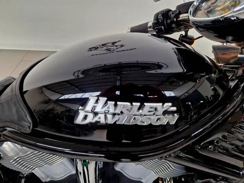Harley-Davidson 1130 Street Rod (2006 - 07) - VRSCR (14)