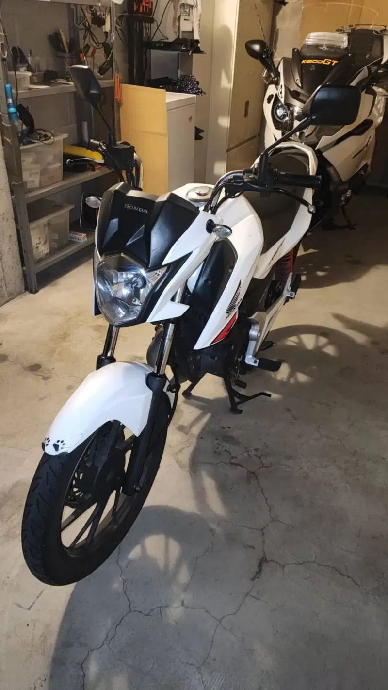 Honda CB 125 F (2017 - 20) (2)
