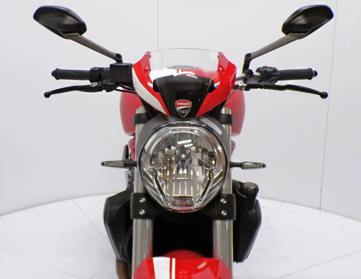 Ducati Monster 821 Stripe ABS (2015 - 17) (9)