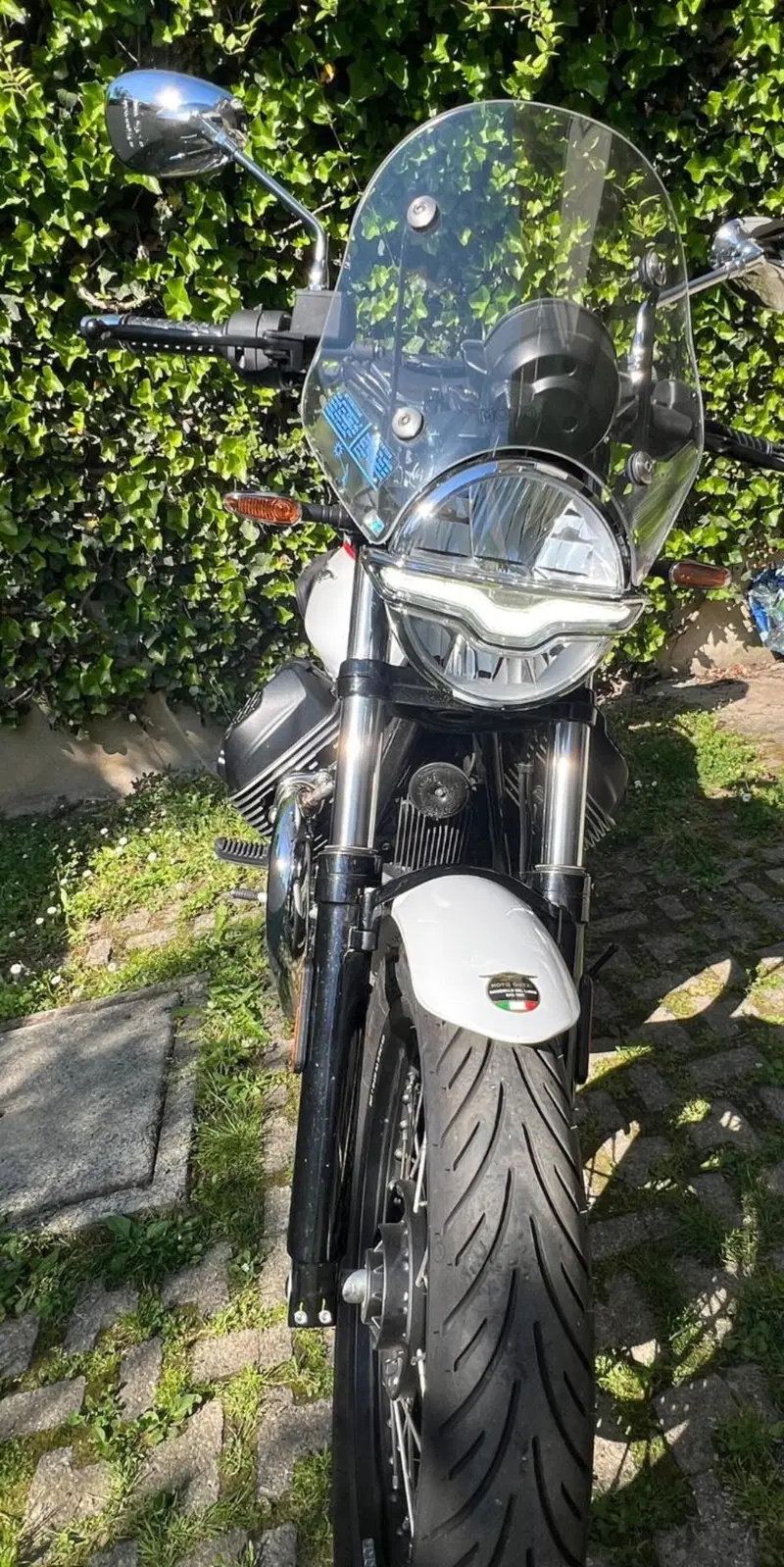 Moto Guzzi V7 Special (2025 - 26) (3)