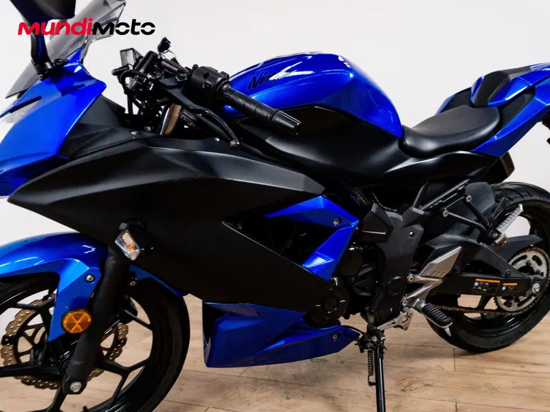 Kawasaki Ninja 300 ABS (2012 - 16) (8)