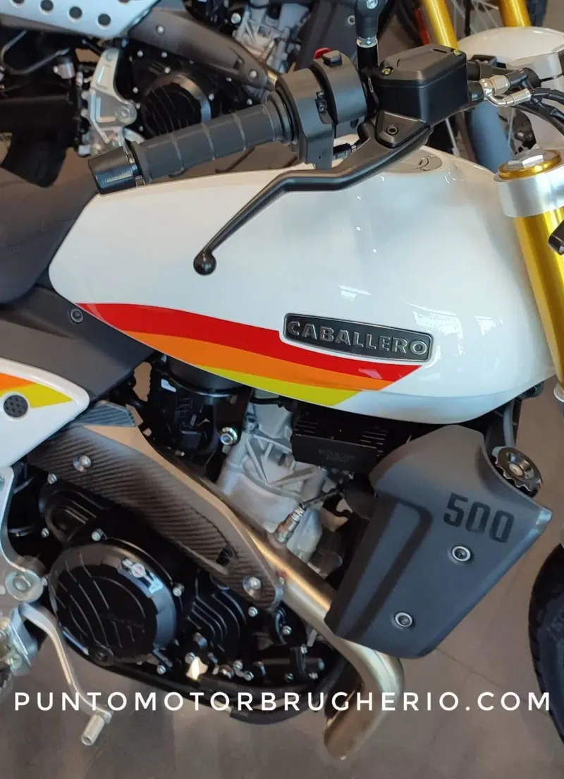 Fantic Motor Caballero 500 Scrambler (2025 - 26) (6)