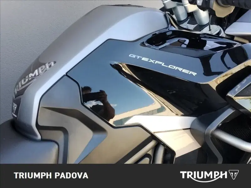Triumph Tiger 1200 GT Explorer (2022 - 23) (4)