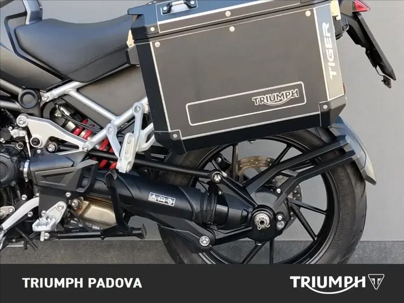 Triumph Tiger 1200 GT Explorer (2022 - 23) (7)