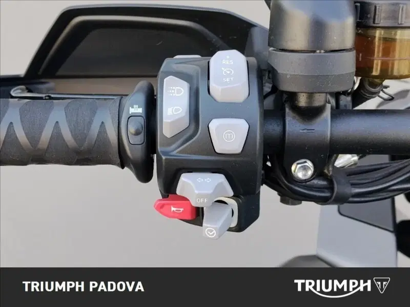 Triumph Tiger 1200 GT Explorer (2022 - 23) (12)