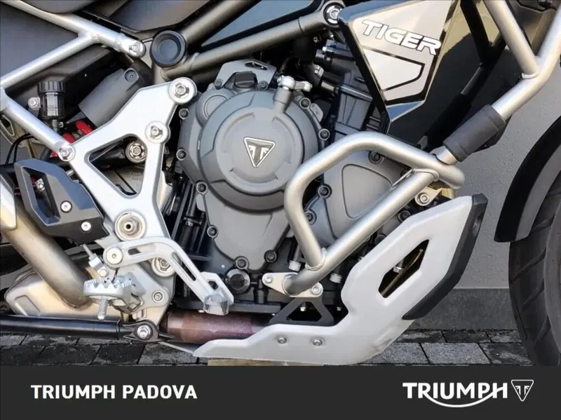 Triumph Tiger 1200 GT Explorer (2022 - 23) (3)