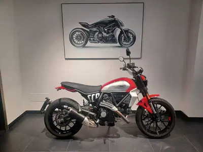 Ducati Scrambler 800 Icon (2023 - 24) usata