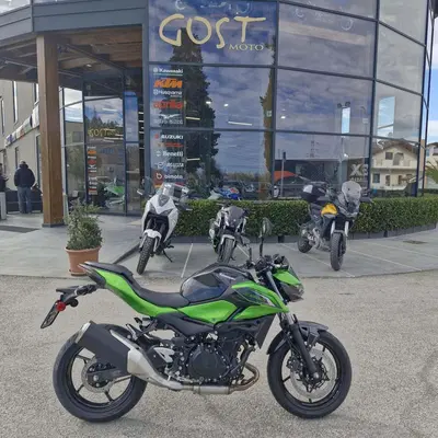 Kawasaki Z 500 (2024 - 26) nuova