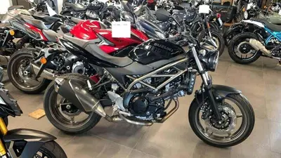 Suzuki SV650 (2025 - 26) nuova