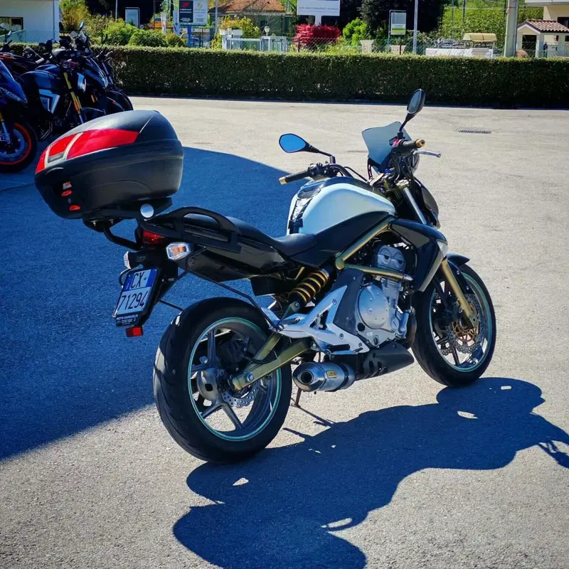 Kawasaki ER-6N (2006 - 09) (4)