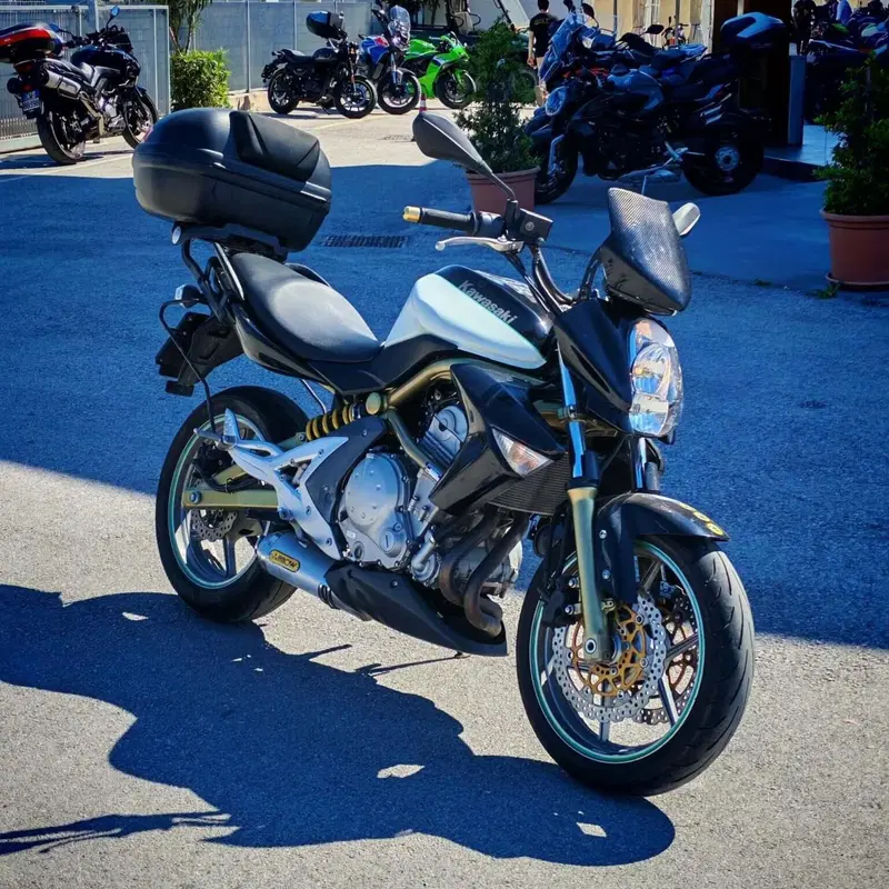 Kawasaki ER-6N (2006 - 09) (5)