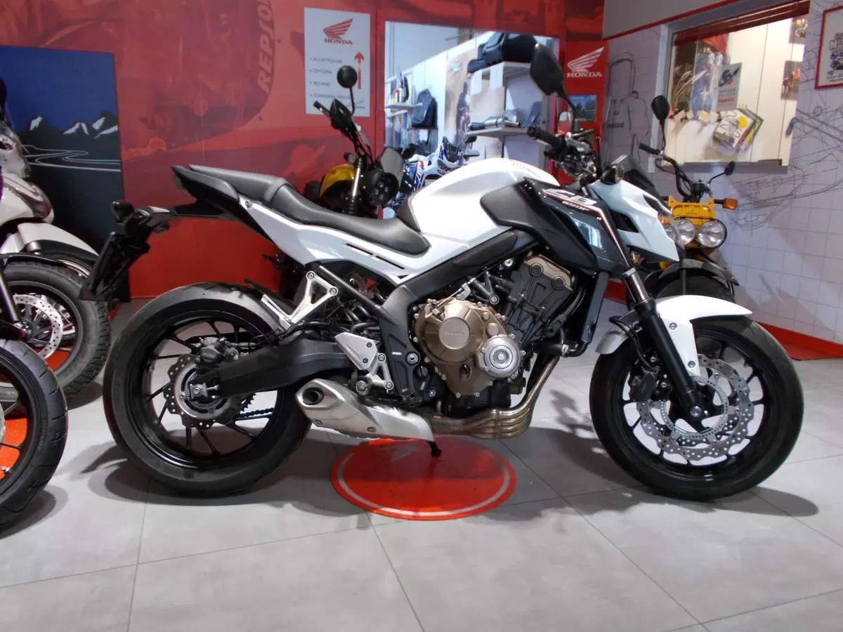Honda CB 650 F (2017 - 18) (12)