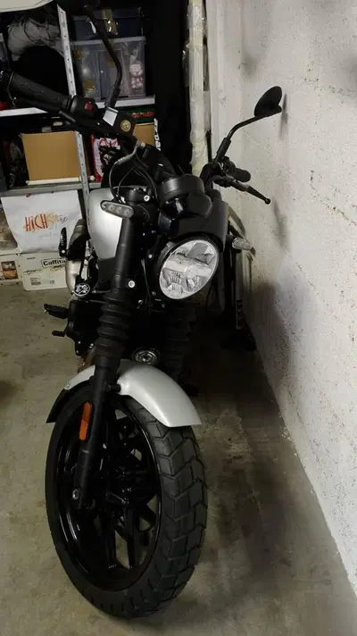Royal Enfield Guerrilla 450 (2024 - 26) usata