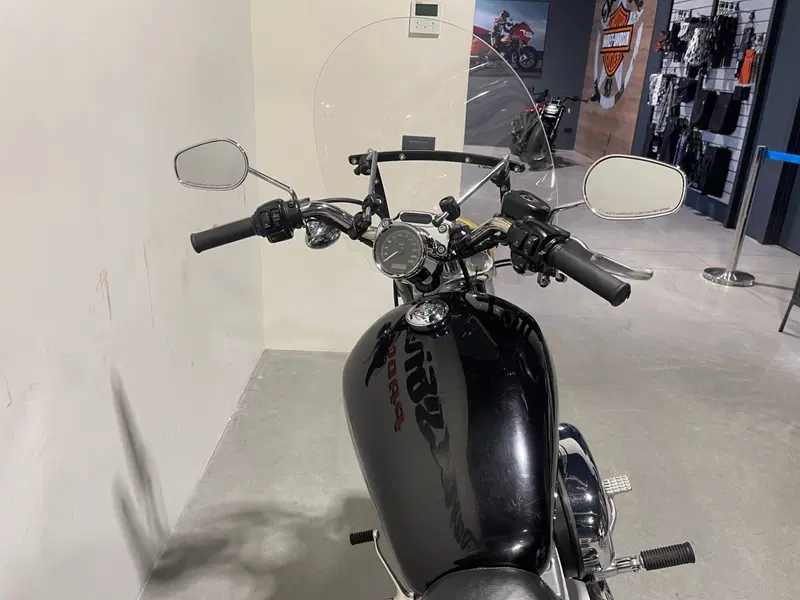 Harley-Davidson 883 Custom (2008 - 12) - XL 883C (7)