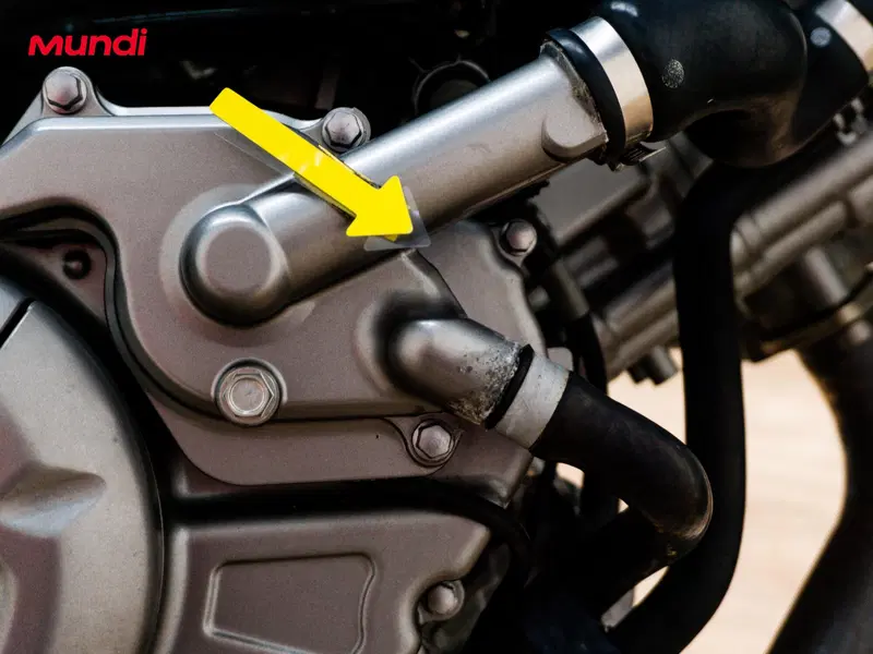 Suzuki Gladius 650 SFV (2009 - 15) (17)