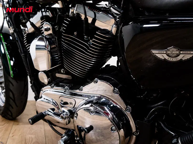 Harley-Davidson 1200 Custom ABS (2014 - 16) - XL 1200C (10)