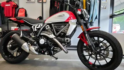 Ducati Scrambler 800 Icon (2025 - 26) nuova