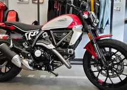 Ducati Scrambler 800 Icon (2025 - 26) nuova