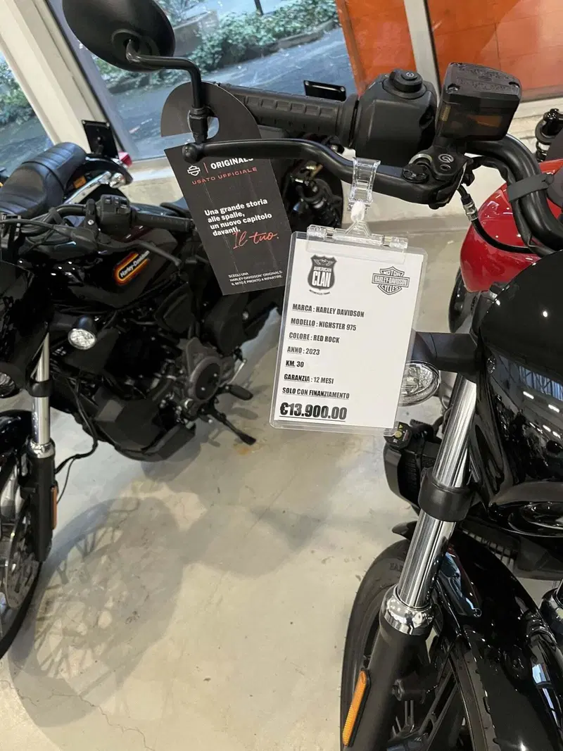 Harley-Davidson Nightster (2023 - 26) (5)