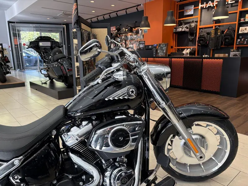 Harley-Davidson Fat Boy 117 (2025 - 26) (2)