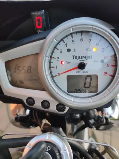 Triumph Speed Triple 1050 (2005 - 11) usata