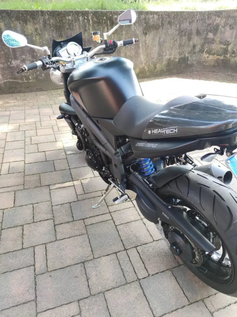 Triumph Speed Triple 1050 (2005 - 11) (3)
