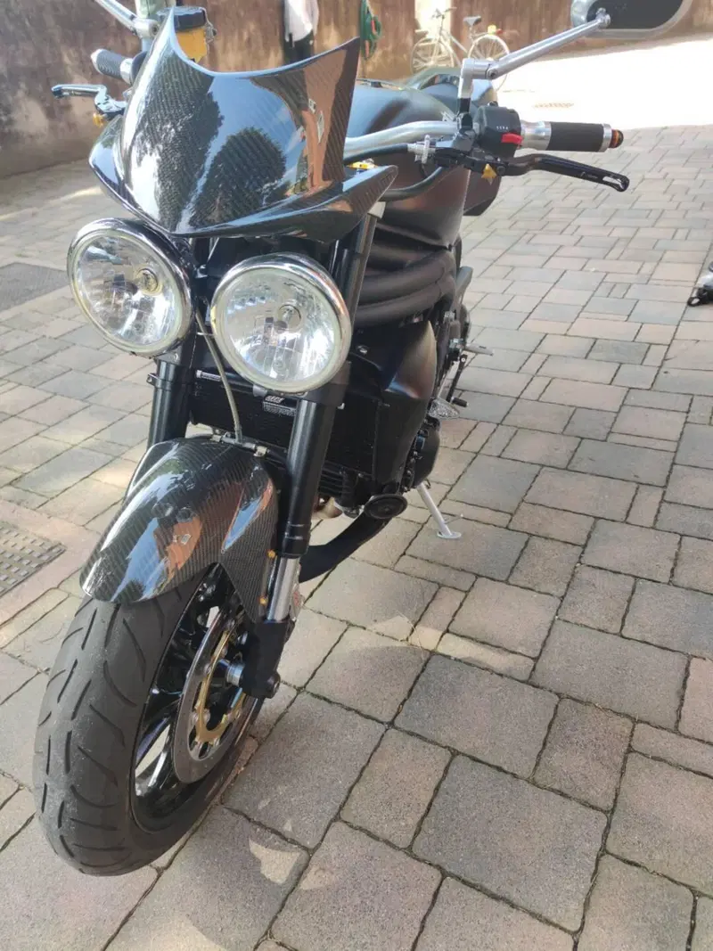 Triumph Speed Triple 1050 (2005 - 11) (4)