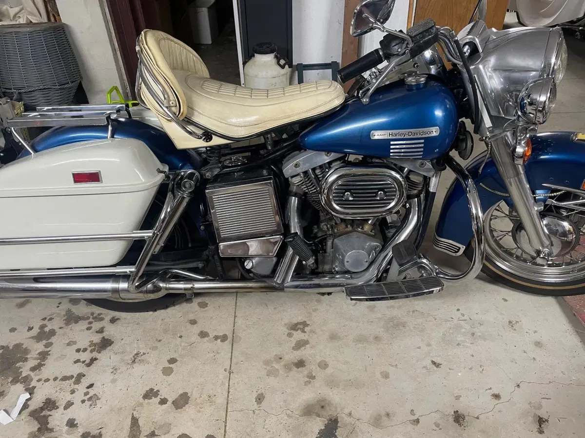 Harley-Davidson Flh (2)
