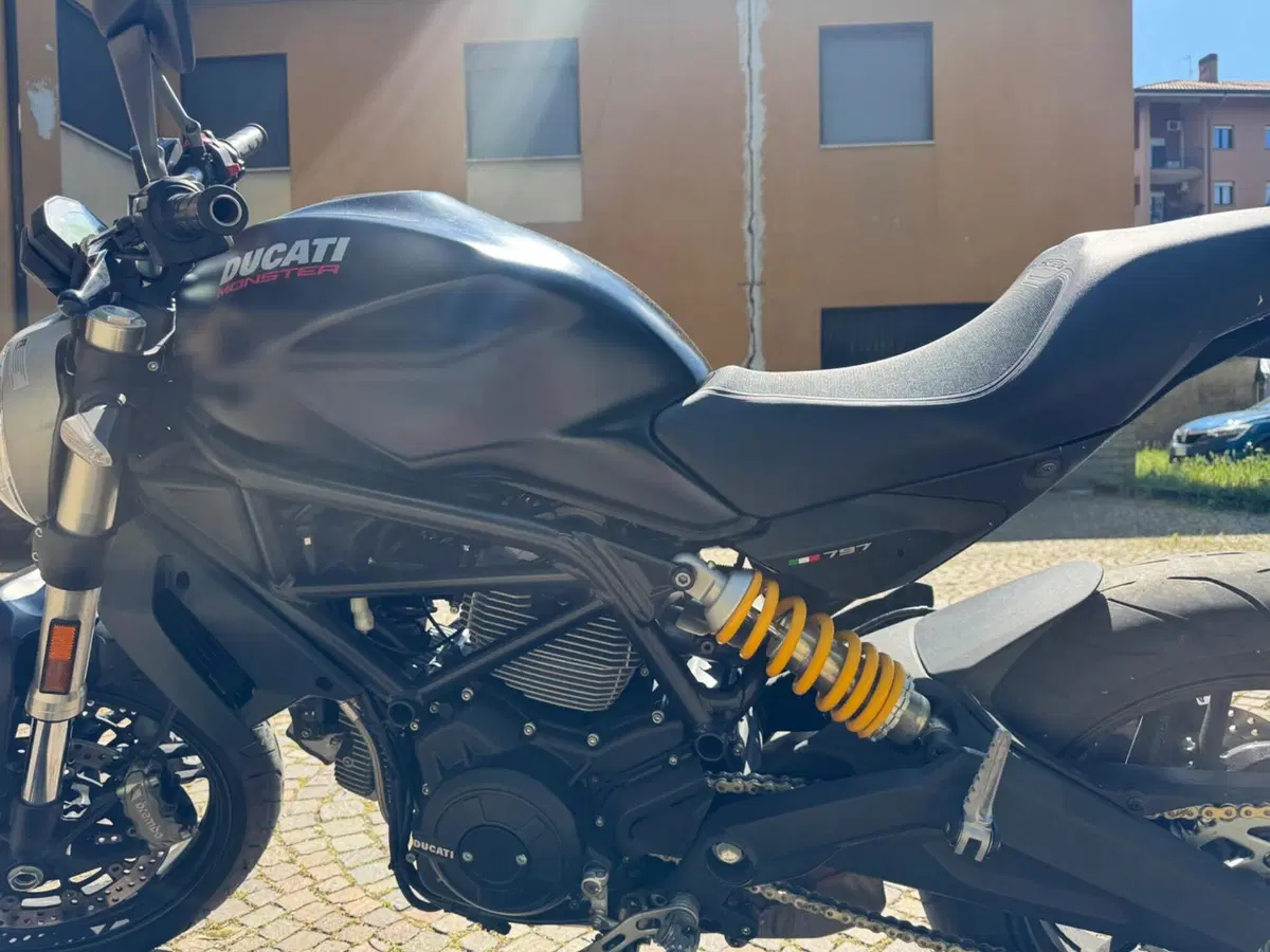 Ducati Monster 797 (2017 - 18) (4)