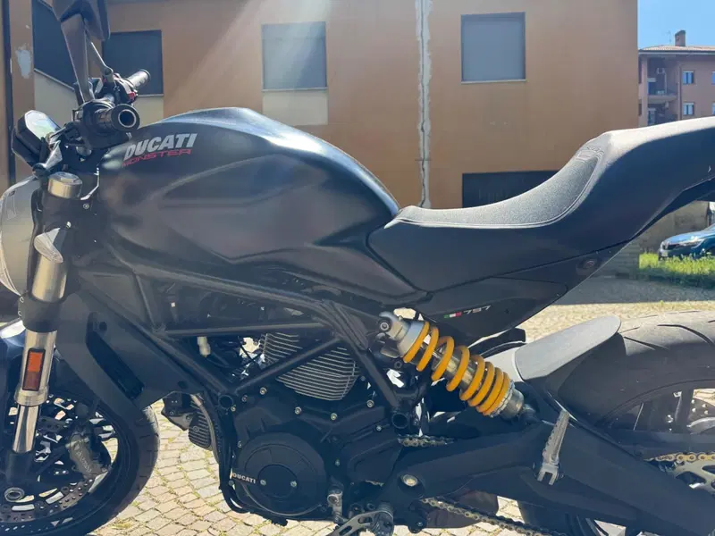 Ducati Monster 797 (2017 - 18) (4)