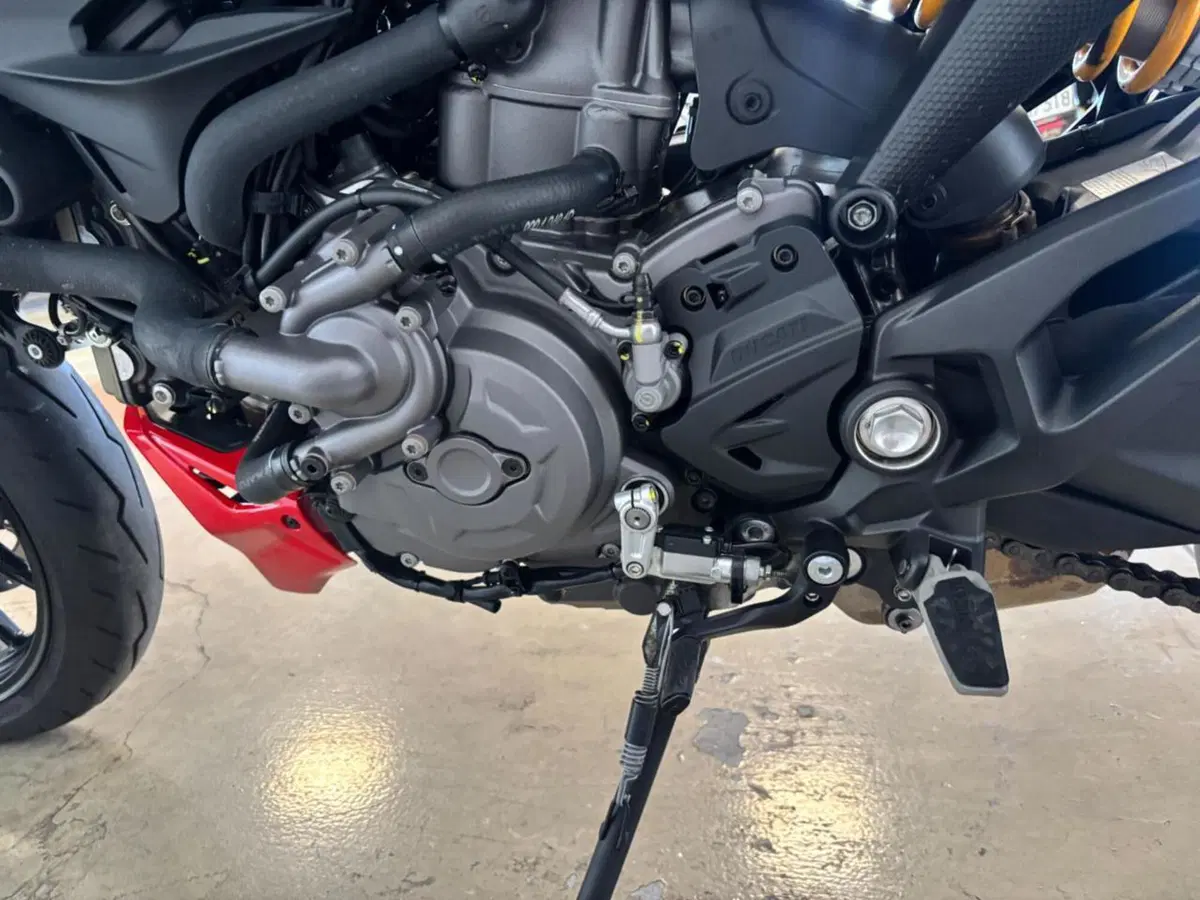 Ducati Monster 937 SP (2023 - 25) (9)