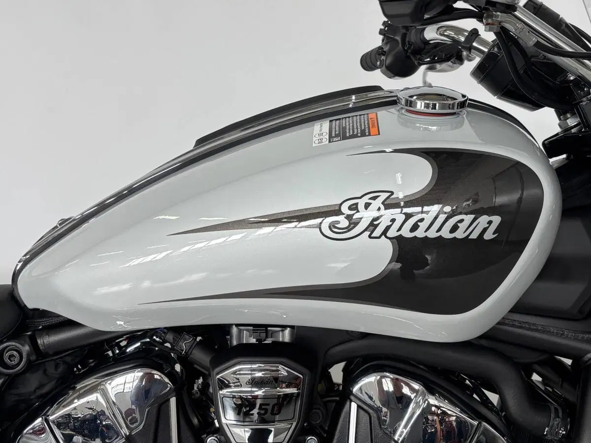 Indian Scout 1250 Super (2025 - 26) (2)