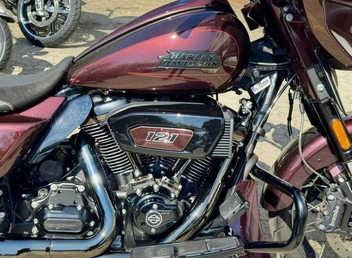 Harley-Davidson CVO Street Glide (2024) (6)