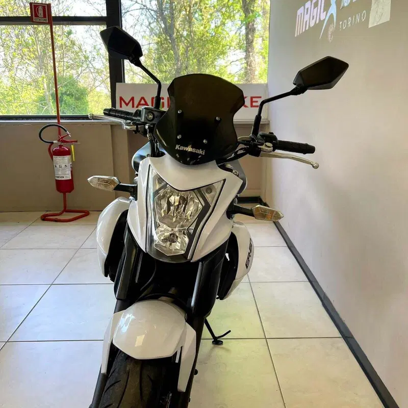 Kawasaki ER-6N (2012 - 13) (4)