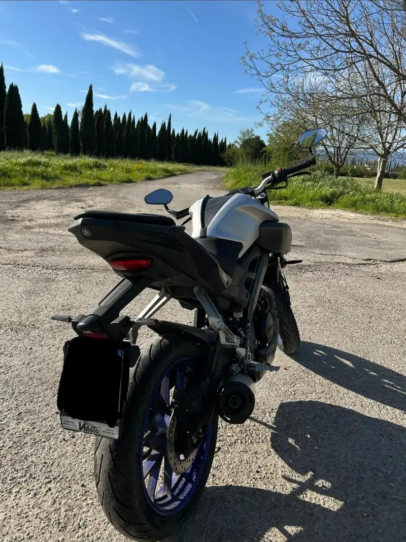 Yamaha MT-125 (2014 - 16) (3)